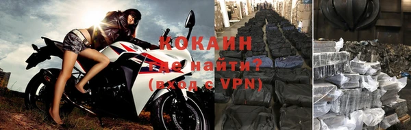 стафф Алексин