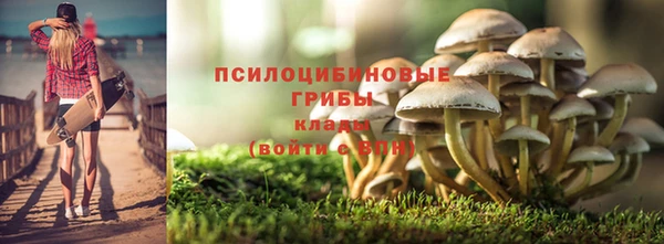 спайс Алексеевка