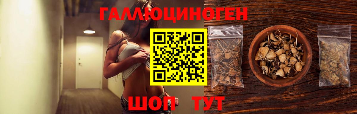 Псилоцибиновые грибы Magic Shrooms Мичуринск
